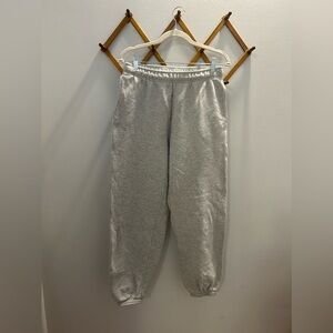 Aritzia TNA Cozy Fleece Mega Sweatpants
